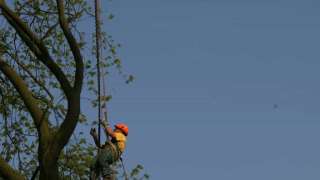 bomen rooien hovenier Koevitsdel Kijfwaard Klarenbeek Kleindorp Klikenberg Klispoel Kluis Kolthoorn Kootwijk Kootwijkebroek Kotten Koudenhoek Koudehoorn Krachighuizen Kranburg Kring van Dorth Kruishaar Kulsdom Kwartier Laageinde Laag Soeren Laak Laarstrat Lage Bijsel